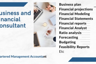 create business plan, feasibility studies, financial analysis