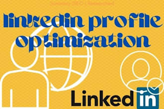 do linkedin optimization and write profile summary