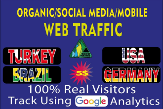 provide USA germany brazil turkey organic traffic