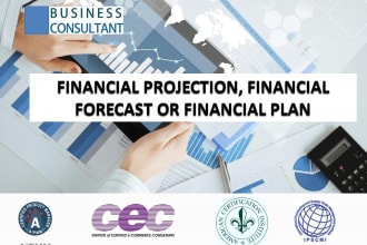 make financial projection, forecast or financial plan
