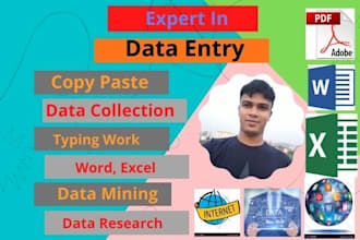 do data entry copy paste, research, word, excel best work