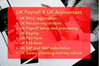 register, run your UK payroll and your complete UK accountant