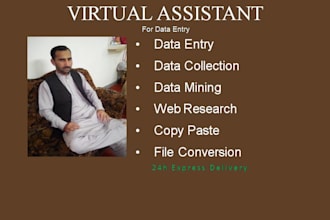be virtual assistant for data entry, data mining, copy paste
