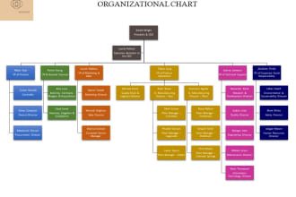 construct your process flow diagrams and org charts