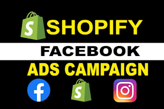 setup shopify facebook ads campaign for targeted audience