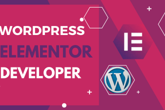 be your elementor developer expert