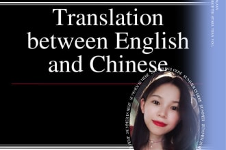 translate chinese to english or english to chinese professionally