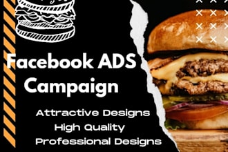 professionally  create your facebook ads campaign