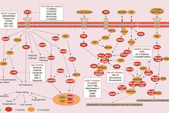 help in biotechnology, molecular genetics, oncology, immunology and cell culture