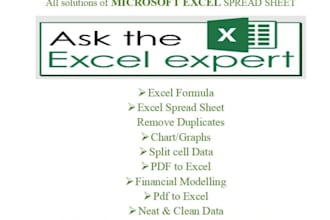your excel expert with functions and formulas