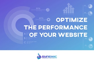 optimize the performance of your website