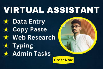 be your virtual assistant for data entry, web research, copy paste