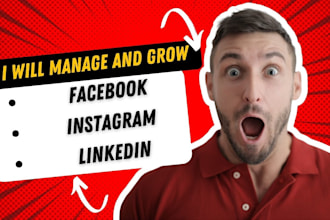 manage and market your linkedin, fb, and instagram pages