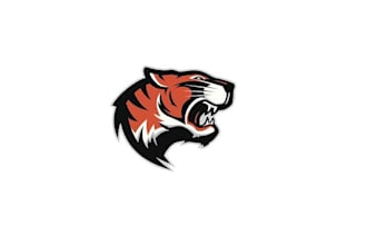 make watercolor artistic illustrations logo with satisfaction guaranteed