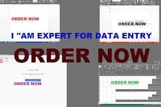expert for data entry order now