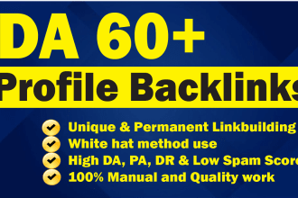 do 350 pr9 USA SEO profile backlinks, link building service
