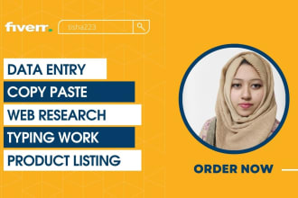 provide top notch VA, data entry, copy paste, web research, typing services