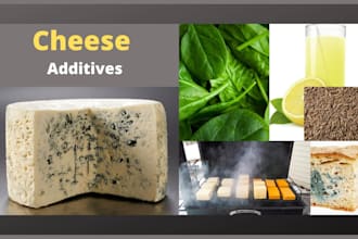 create anything canva editable