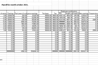 insert data into excel spreadsheets and word documents