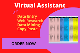 be your virtual assistant for data entry, web research
