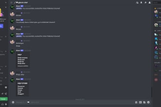 make you a professional custom discord server