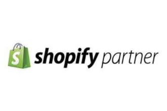 create a financial model for your new shopify store
