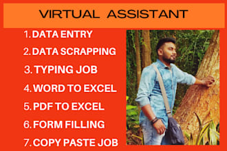 do lightening fast data entry with full accuracy