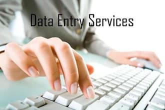 do accurate extra fast typing of 100 pages within 24 hours