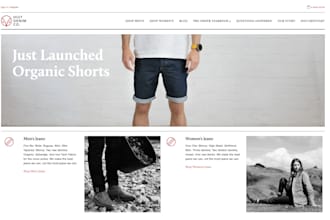 build shopify store website and web designing
