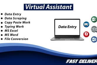 do fast data entry copy paste excel data entry typing job