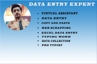 be your virtual assistant for data entry and copy paste