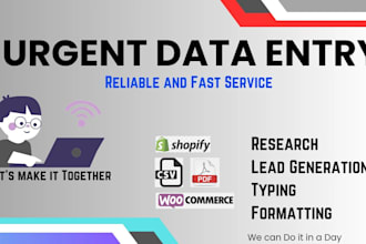 do urgent data entry, excel, office work for you