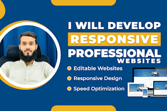 develop fully responsive professional website