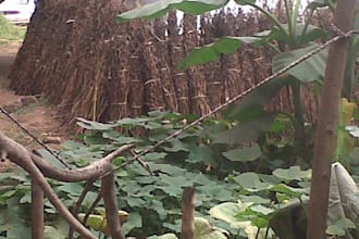 get any information regarding kenya or tanzania