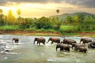 be your help for anything related to sri lanka