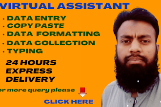 be your virtual assistant for data entry, copy paste, data collection and typing