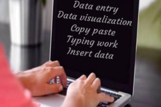 do reputable data visualization,data entery ,copy paste,typing work,insert data