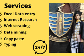 do accurate excel data entry, web scraping and internet research