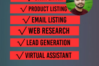 be your virtual assistant for data entry product listing copy pest