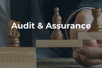audit financial statements as per isa