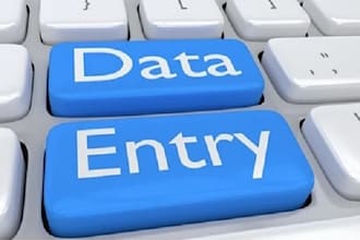 do perfect data entry web research and copy paste in 24 hours