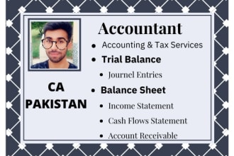 prepare financial statements balancesheet,income statement and accounting tasks