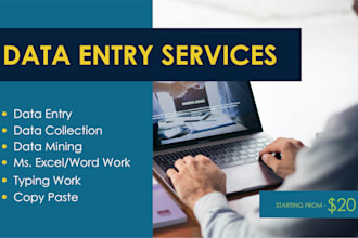 do fast and accurate excel data entry