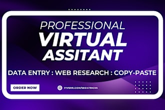 be your virtual assistant for data entry and web research