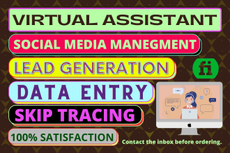 be your reliable virtual assistant for data entry web research and leads gen
