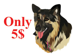 draw your pet cartoon portrait dog cat other animal