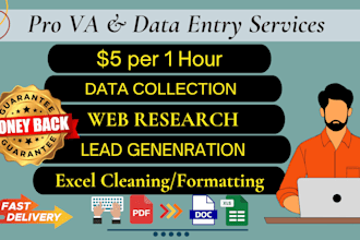 do web research, excel data entry, lead generation, data collection, mining