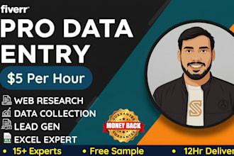 do web research, excel data entry, lead generation, data collection, mining