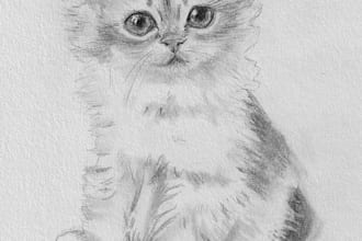 sketch the picture of your animal or pet in my style
