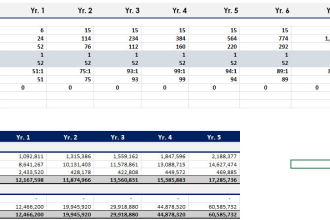 make investor ready financial model, projections, valuation of company business